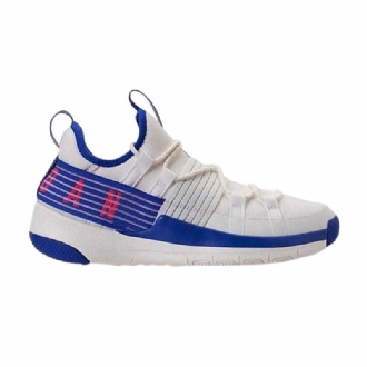 Air Jordan Trainer Pro Fehér Kék Rózsaszín Férfi Cipő